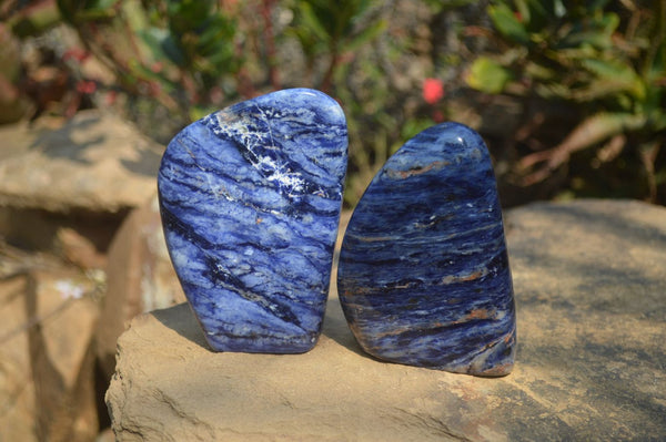 Polished Sodalite Standing Free Forms x 3 From Kunene River, Namibia