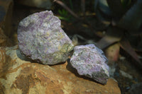 Natural Stichtite Specimens x 6 From Barberton, South Africa