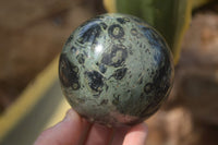 Polished Stromatolite Jasper Spheres x 2 From Madagascar