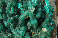 Natural Exquisite XL Dioptase On Dolomite Specimen x 1 From Congo