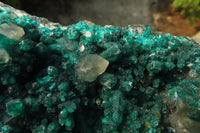 Natural Exquisite XL Dioptase On Dolomite Specimen x 1 From Congo