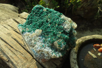 Natural Exquisite XL Dioptase On Dolomite Specimen x 1 From Congo