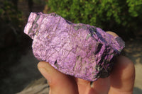 Natural Metallic Purpurite Cobbed Specimens x 12 From Erongo, Namibia