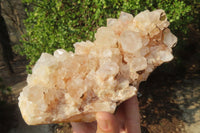 Natural Quartz Crystal Clusters x 2 From Madagascar