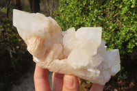 Natural Quartz Crystal Clusters x 2 From Madagascar