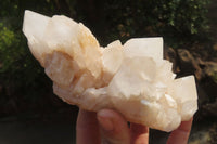 Natural Quartz Crystal Clusters x 2 From Madagascar