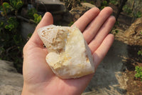 Natural Window Quartz Specimens x 6 From Madagascar