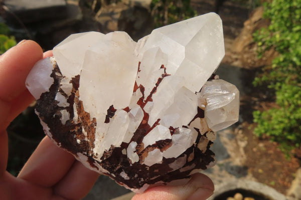 Natural Window Quartz Specimens x 6 From Madagascar