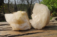 Natural Window Quartz Specimens x 6 From Madagascar