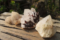 Natural Window Quartz Specimens x 6 From Madagascar