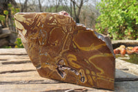 Polished On One Side Nguni Jasper Specimens x 2 From Prieska, South Africa