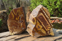 Polished On One Side Nguni Jasper Specimens x 2 From Prieska, South Africa