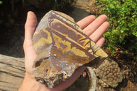 Polished On One Side Nguni Jasper Specimens x 2 From Prieska, South Africa