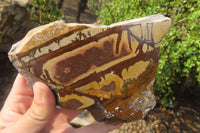 Polished On One Side Nguni Jasper Specimens x 2 From Prieska, South Africa