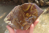 Polished On One Side Nguni Jasper Specimens x 2 From Prieska, South Africa