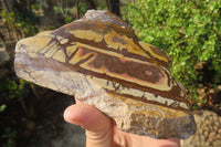 Polished On One Side Nguni Jasper Specimens x 2 From Prieska, South Africa