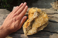 Natural Limonite Quartz Specimens x 2 From Zambia