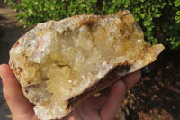 Natural Limonite Quartz Specimens x 2 From Zambia