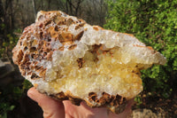 Natural Limonite Quartz Specimens x 2 From Zambia