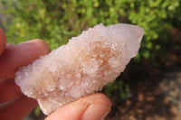 Natural Ametrine Spirit Quartz Clusters x 35 From Boekenhouthoek, South Africa