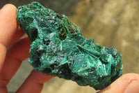 Natural Silky Malachite Specimens x 6 From Kasompe, Congo