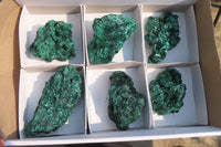 Natural Silky Malachite Specimens x 6 From Kasompe, Congo