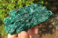 Natural Silky Malachite Specimens x 6 From Kasompe, Congo