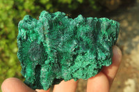 Natural Silky Malachite Specimens x 6 From Kasompe, Congo