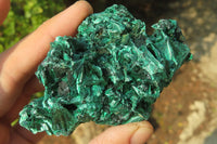 Natural Silky Malachite Specimens x 6 From Kasompe, Congo