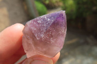 Natural Amethyst Sceptre Crystals x 35 From Madagascar