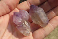 Natural Amethyst Sceptre Crystals x 35 From Madagascar