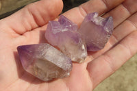 Natural Amethyst Sceptre Crystals x 35 From Madagascar