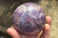 Polished Lepidolite with Pink Rubellite Spheres x 2 From Ambatondrazaka, Madagascar