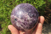 Polished Lepidolite with Pink Rubellite Spheres x 2 From Ambatondrazaka, Madagascar