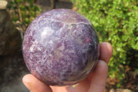 Polished Lepidolite with Pink Rubellite Spheres x 2 From Ambatondrazaka, Madagascar