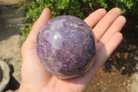 Polished Lepidolite with Pink Rubellite Spheres x 2 From Ambatondrazaka, Madagascar