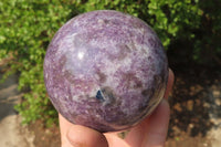 Polished Lepidolite with Pink Rubellite Spheres x 2 From Ambatondrazaka, Madagascar