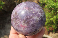 Polished Lepidolite with Pink Rubellite Spheres x 2 From Ambatondrazaka, Madagascar