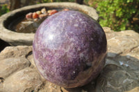 Polished Lepidolite with Pink Rubellite Spheres x 2 From Ambatondrazaka, Madagascar