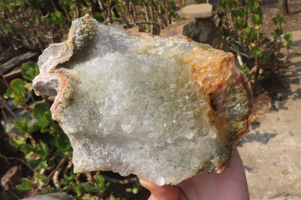 Natural Zululand Agate Geodes x 2 from Jozini, South Africa