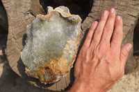 Natural Zululand Agate Geodes x 2 from Jozini, South Africa