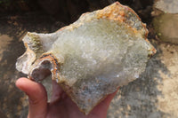 Natural Zululand Agate Geodes x 2 from Jozini, South Africa