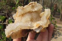 Natural Zululand Agate Geodes x 2 from Jozini, South Africa