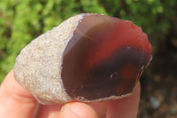 Polished On One Side Red Sashe River Agate Nodules x 12 From Zimbabwe