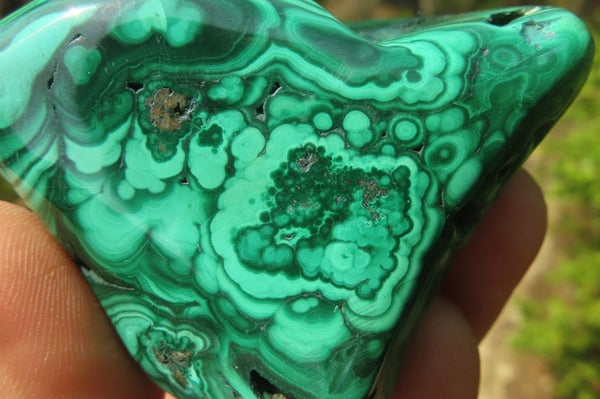 Polished Flower Banded Malachite Free Forms x 6 From Congo