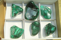 Polished Flower Banded Malachite Free Forms x 6 From Congo