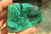 Polished Flower Banded Malachite Free Forms x 6 From Congo