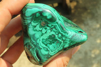 Polished Flower Banded Malachite Free Forms x 6 From Congo