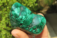 Polished Flower Banded Malachite Free Forms x 6 From Congo