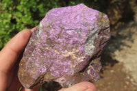 Natural Metallic Purpurite Cobbed Specimens x 5 From Erongo, Namibia